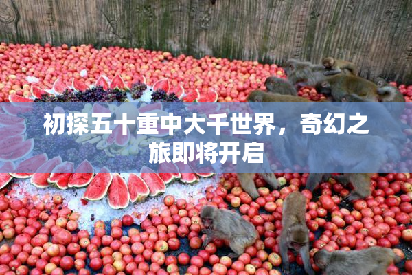 初探五十重中大千世界，奇幻之旅即将开启