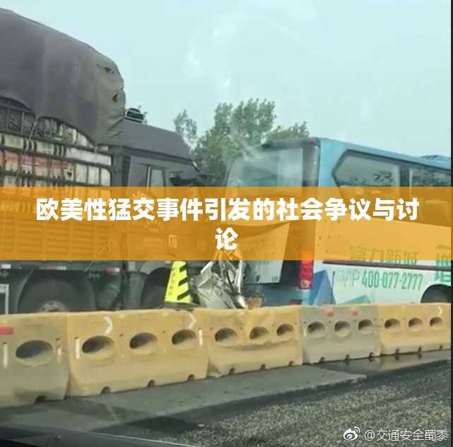 欧美性猛交事件引发的社会争议与讨论