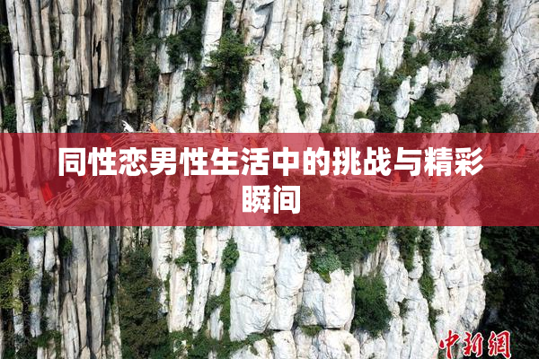 同性恋男性生活中的挑战与精彩瞬间
