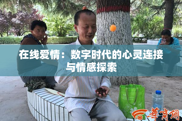 在线爱情：数字时代的心灵连接与情感探索