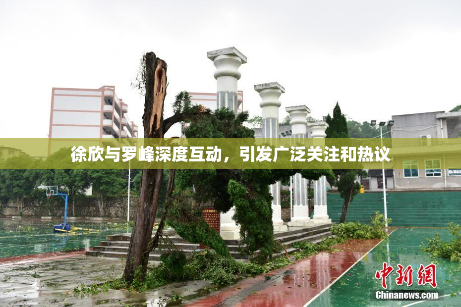 徐欣与罗峰深度互动，引发广泛关注和热议