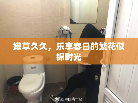 嫩草久久，乐享春日的繁花似锦时光