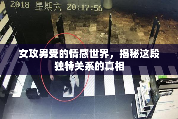 女攻男受的情感世界，揭秘这段独特关系的真相