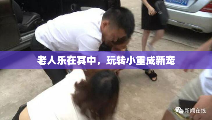 老人乐在其中，玩转小重成新宠