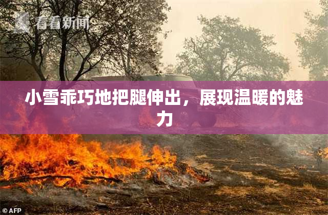小雪乖巧地把腿伸出，展现温暖的魅力