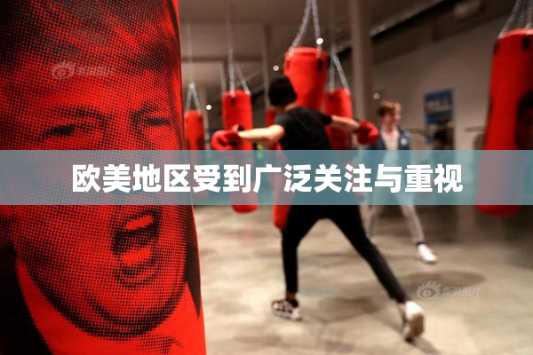 欧美地区受到广泛关注与重视