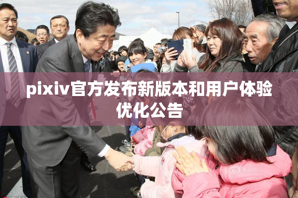 pixiv官方发布新版本和用户体验优化公告