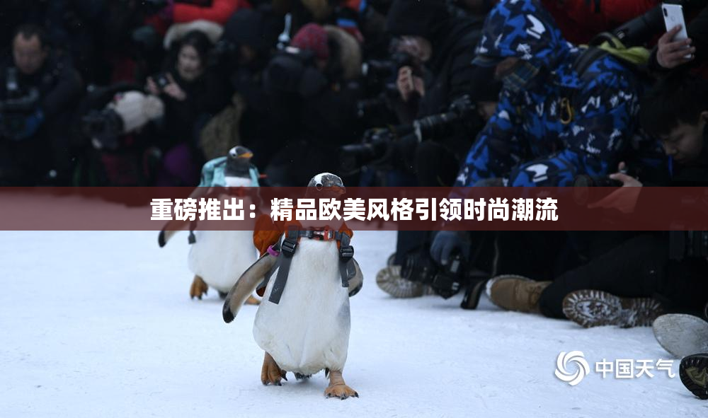 重磅推出：精品欧美风格引领时尚潮流