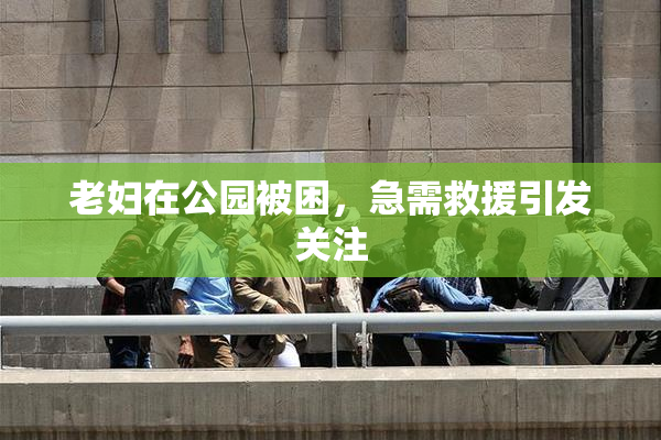 老妇在公园被困，急需救援引发关注