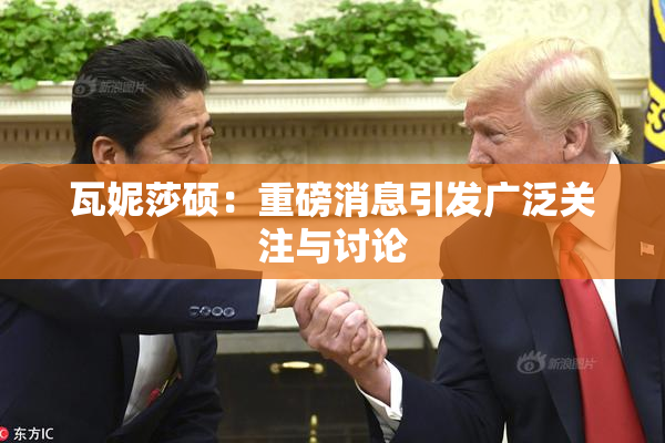 瓦妮莎硕：重磅消息引发广泛关注与讨论