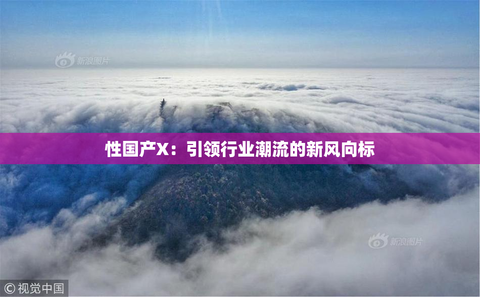 性国产X：引领行业潮流的新风向标