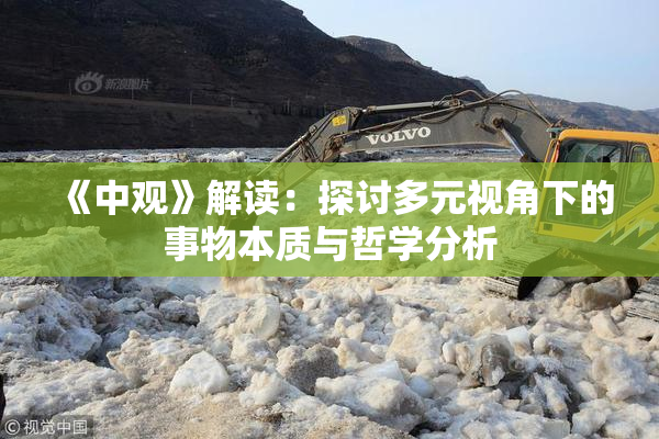 《中观》解读：探讨多元视角下的事物本质与哲学分析