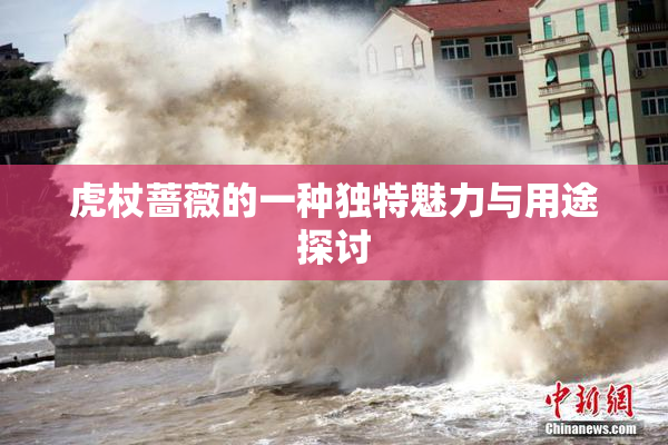 虎杖蔷薇的一种独特魅力与用途探讨