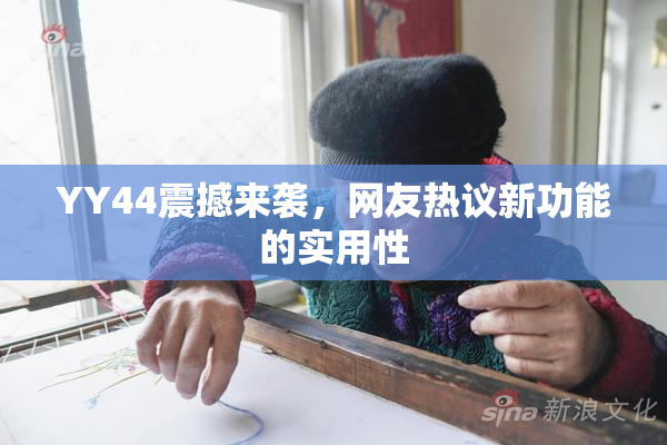 YY44震撼来袭，网友热议新功能的实用性
