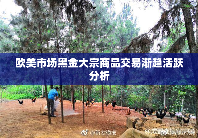 欧美市场黑金大宗商品交易渐趋活跃分析