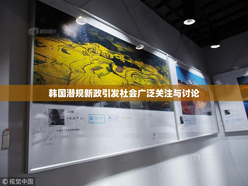 韩国潜规新政引发社会广泛关注与讨论