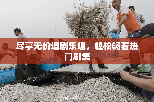 尽享无价追剧乐趣，轻松畅看热门剧集