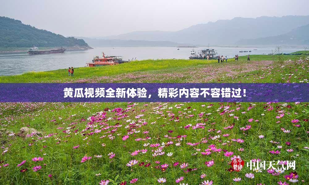 黄瓜视频全新体验，精彩内容不容错过！