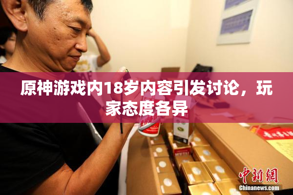 原神游戏内18岁内容引发讨论，玩家态度各异