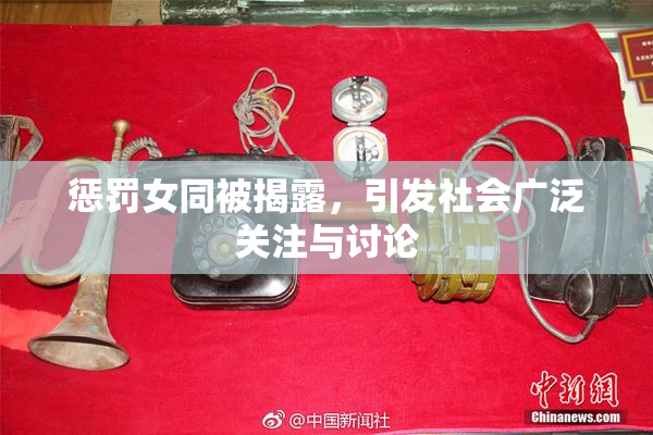 惩罚女同被揭露，引发社会广泛关注与讨论