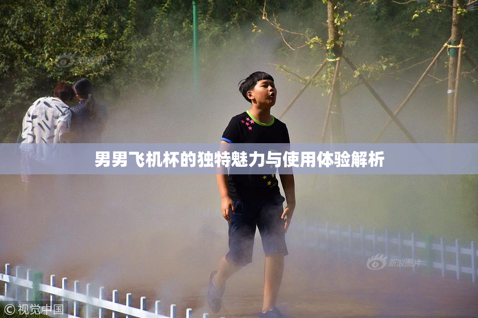 男男飞机杯的独特魅力与使用体验解析