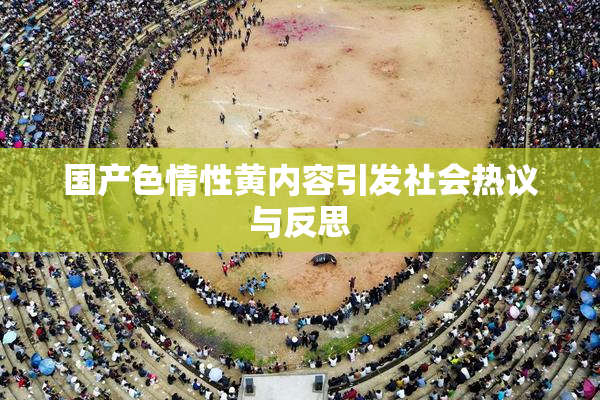 国产色情性黄内容引发社会热议与反思