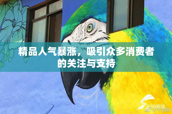 精品人气暴涨，吸引众多消费者的关注与支持