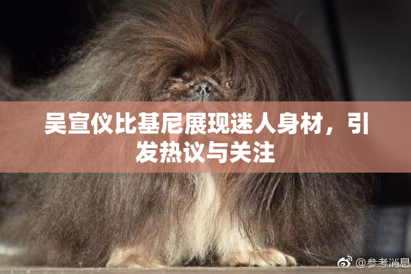 吴宣仪比基尼展现迷人身材，引发热议与关注