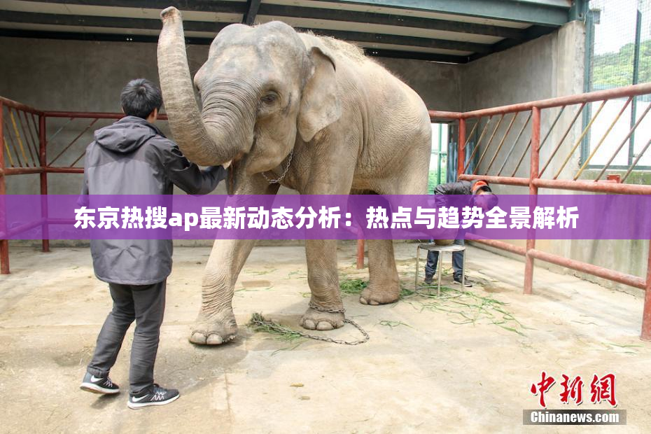 东京热搜ap最新动态分析：热点与趋势全景解析