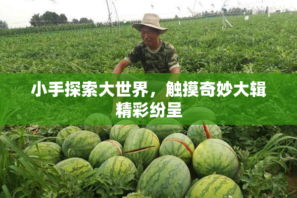 小手探索大世界，触摸奇妙大辑精彩纷呈
