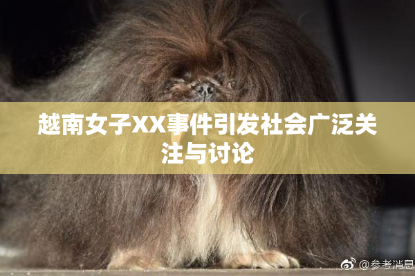 越南女子XX事件引发社会广泛关注与讨论