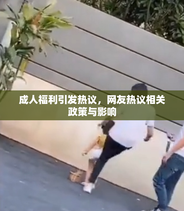 成人福利引发热议，网友热议相关政策与影响