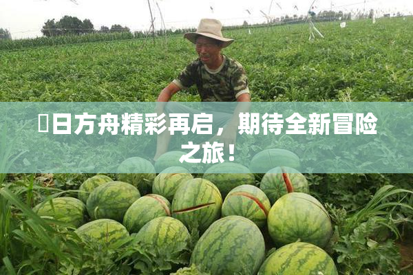 眀日方舟精彩再启，期待全新冒险之旅！