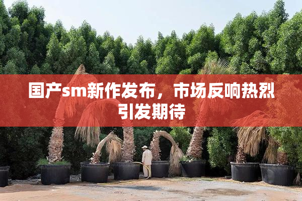 国产sm新作发布，市场反响热烈引发期待