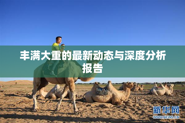 丰满大重的最新动态与深度分析报告
