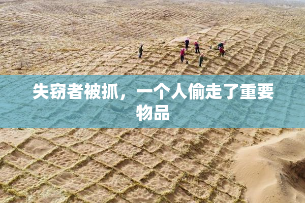 失窃者被抓，一个人偷走了重要物品