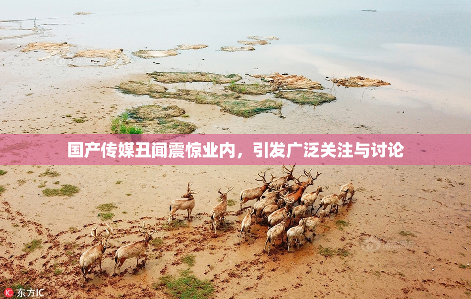国产传媒丑闻震惊业内，引发广泛关注与讨论