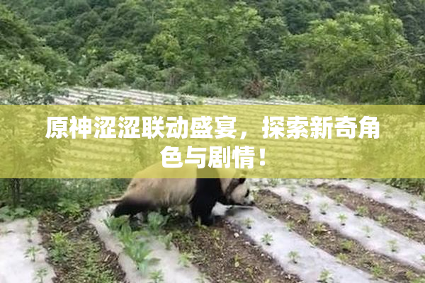 原神涩涩联动盛宴，探索新奇角色与剧情！