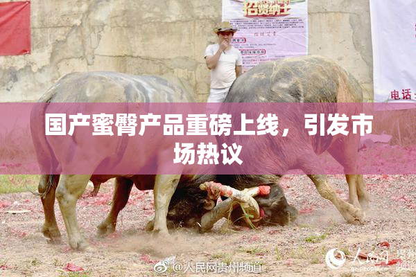 国产蜜臀产品重磅上线，引发市场热议