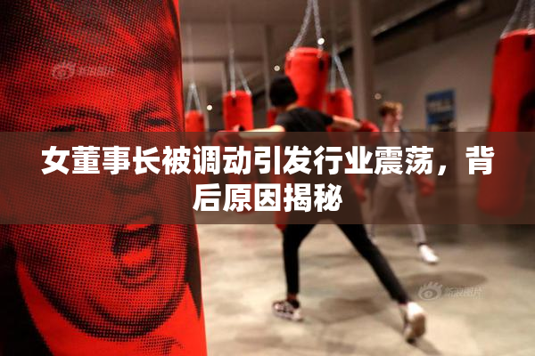 女董事长被调动引发行业震荡，背后原因揭秘