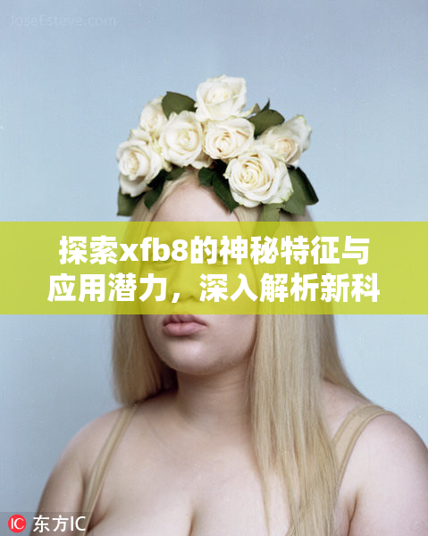 探索xfb8的神秘特征与应用潜力，深入解析新科技