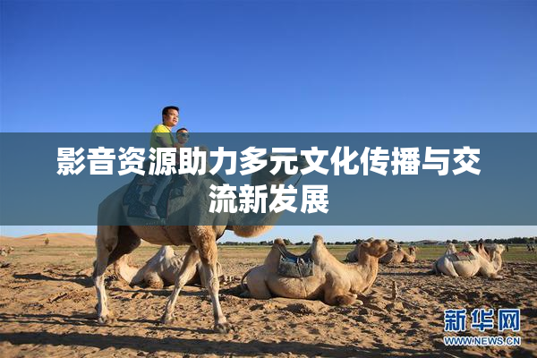 影音资源助力多元文化传播与交流新发展