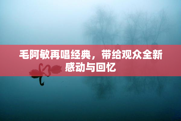 毛阿敏再唱经典，带给观众全新感动与回忆
