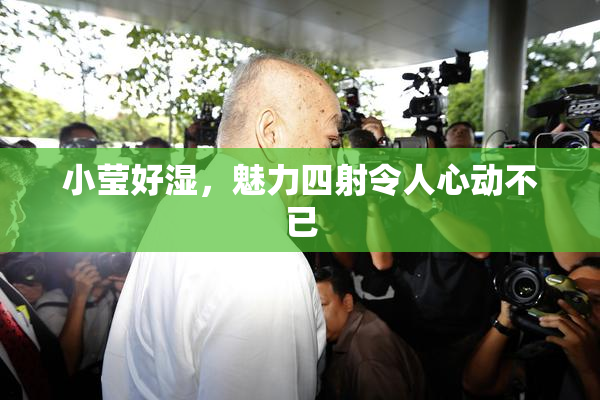 小莹好湿，魅力四射令人心动不已