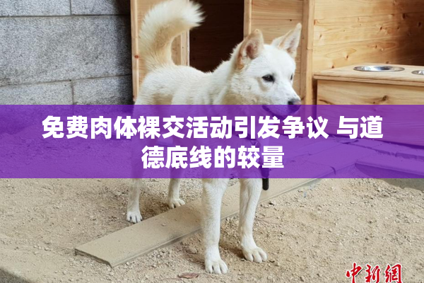 免费肉体裸交活动引发争议 与道德底线的较量