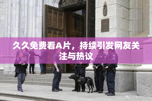 久久免费看A片，持续引发网友关注与热议
