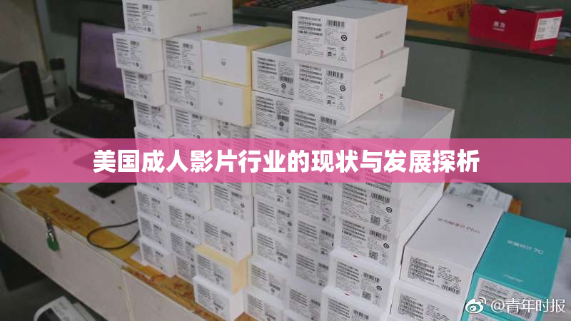 美国成人影片行业的现状与发展探析