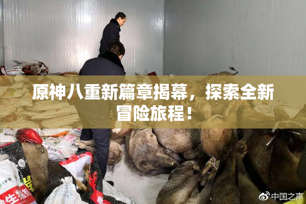 原神八重新篇章揭幕，探索全新冒险旅程！