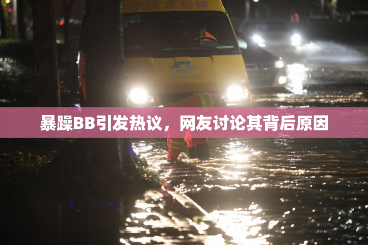 暴躁BB引发热议，网友讨论其背后原因