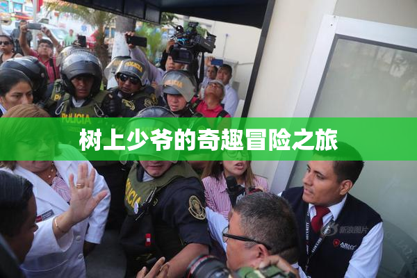 树上少爷的奇趣冒险之旅